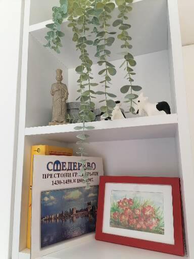 Anka Apartman Смедерево Экстерьер фото