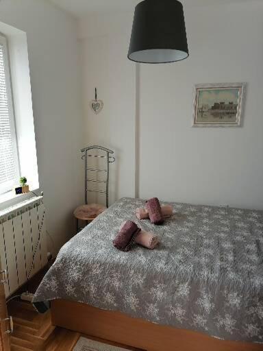 Anka Apartman Смедерево Экстерьер фото